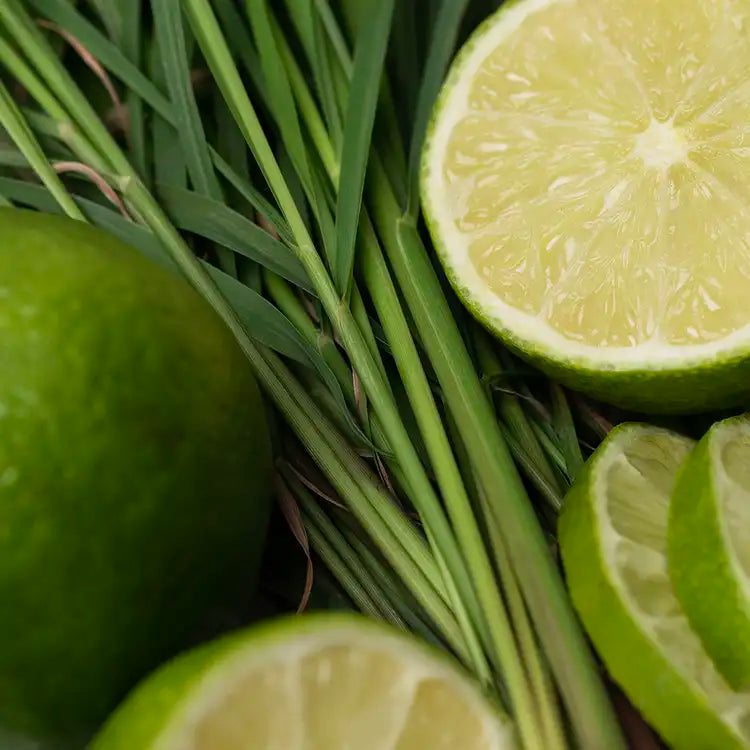 Lemongrass & Lime (aka Summer Kitchen)