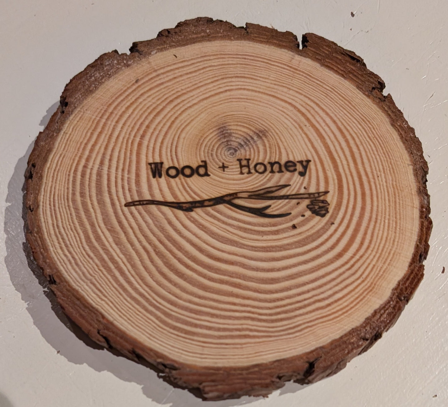 Alasca - Amaryllis Bulb