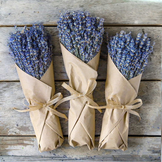 Lavender bundles